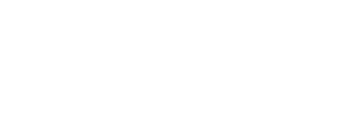 T.S.E logo
